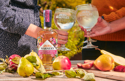 Joules X Warner's