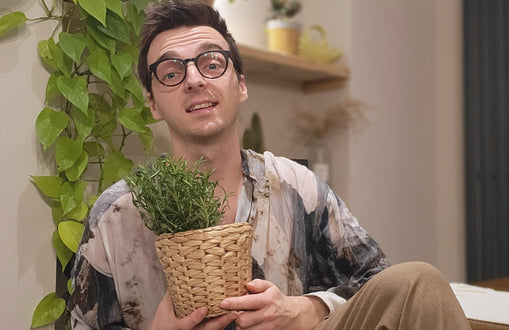 Grow your own botanicals | Having them on hand when you need a swift one!