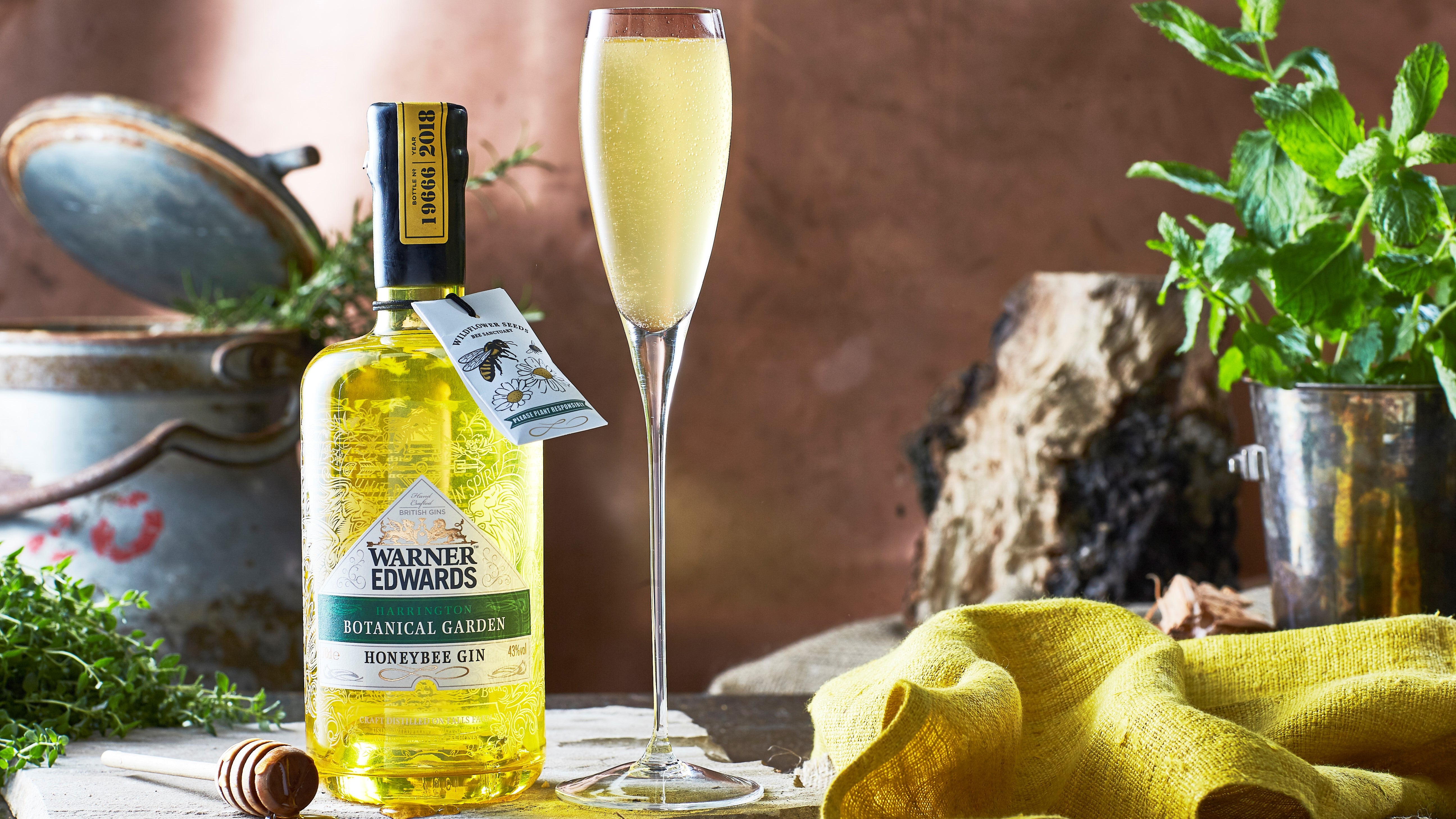 How to Make the Perfect Warner's Buzzecco Gin Cocktail & Ingredients – Warner's Distillery Ltd