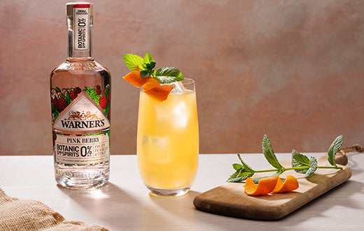 Alcohol free cocktails for January