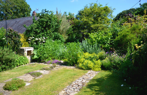 Spring at Falls Farm