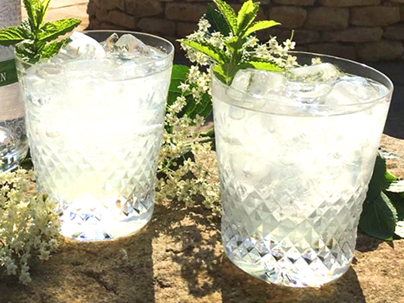 Elderflower Collins Gin Warner's Distillery Ltd