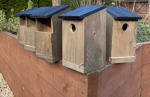 Sustainability Sunday: National Nest Box week