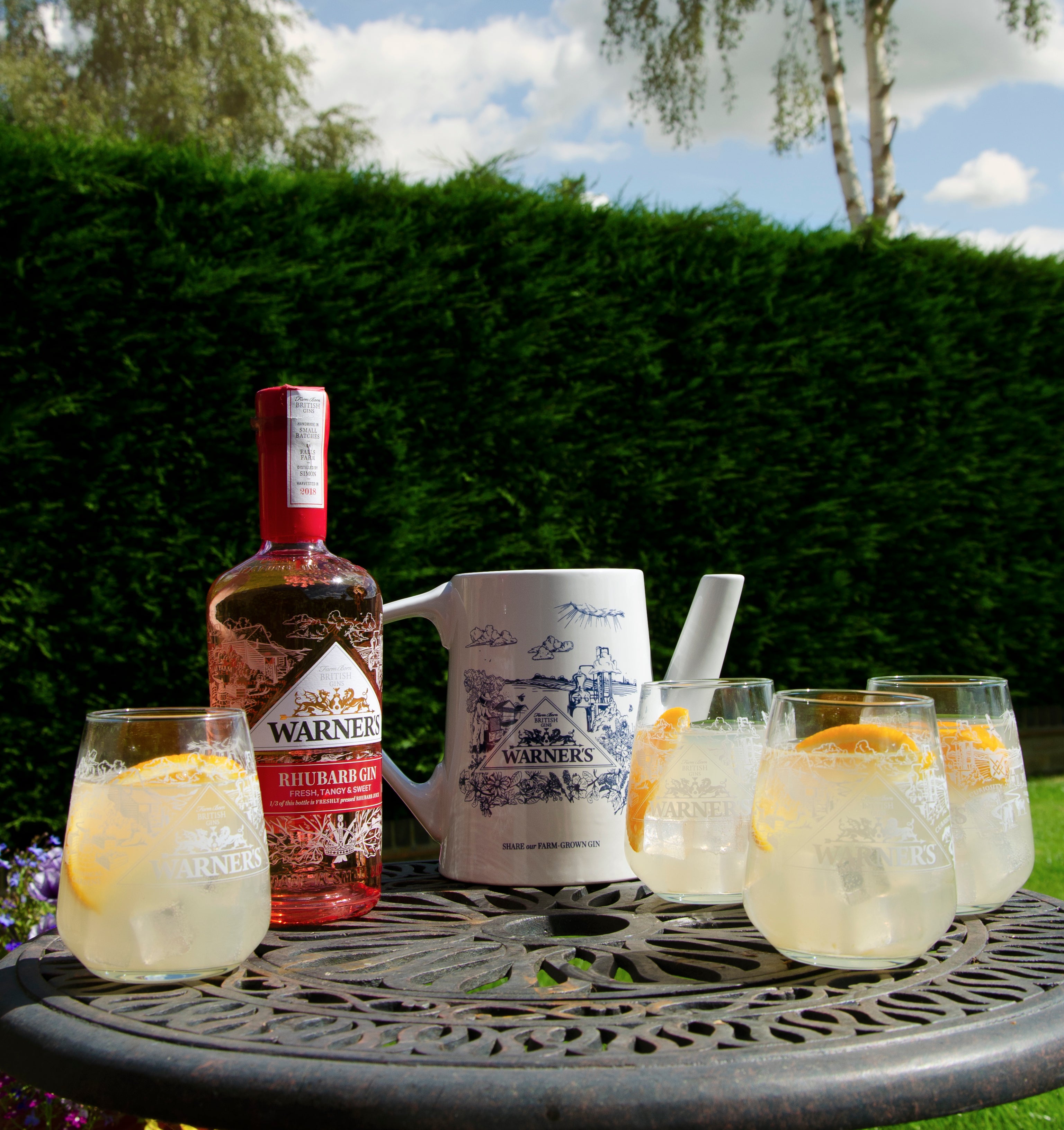 Rhubarb Spritz Cocktail – Warner's Distillery Ltd