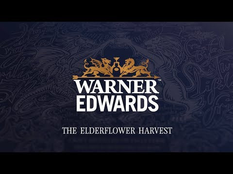 Warner's Distillery: The Elderflower Harvest