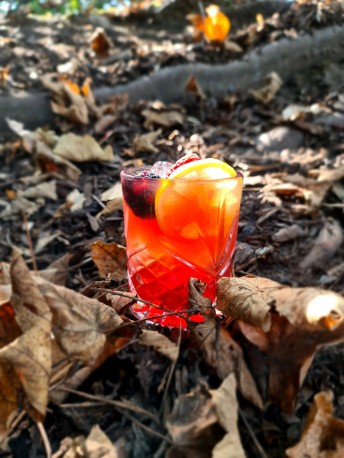 Bickley Bramble
&ndash; Warner's Distillery Ltd