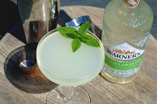 How to Make the Perfect Warner's Elderflower Martini Gin Cocktail & Ingredients – Warner's Distiller