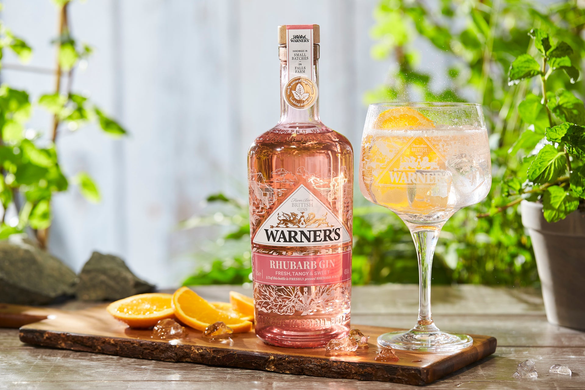 Warner's Distillery Ltd