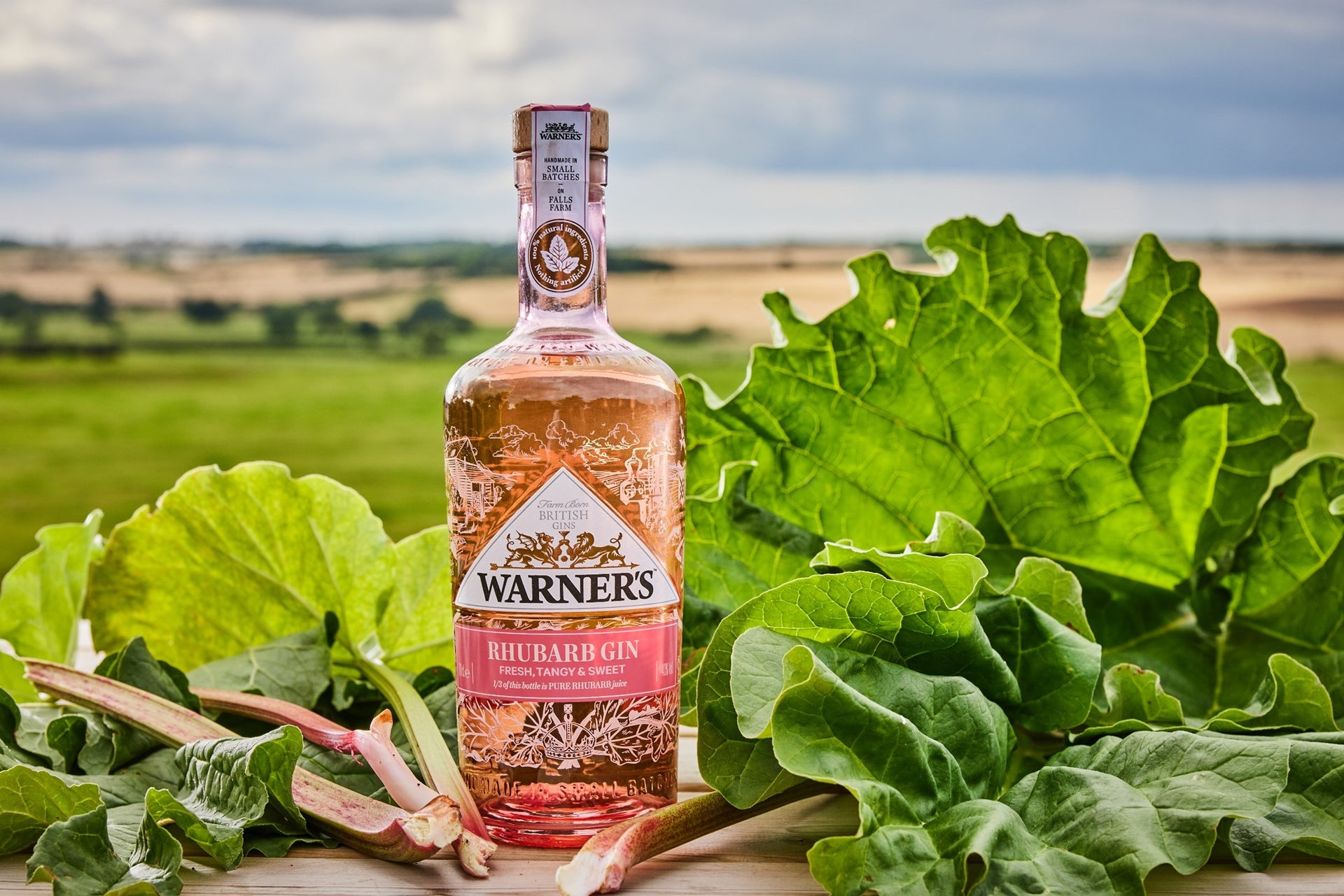 Warner's Distillery Ltd