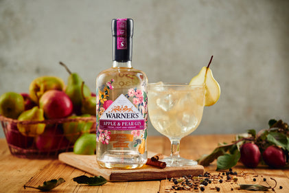 gin  Brockmans Gin | Total Wine & More