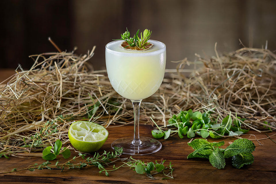 Elderflower Gimlet