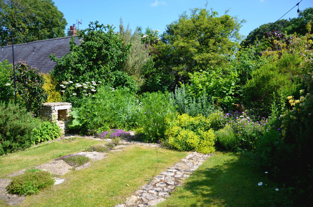 Spring at Falls Farm