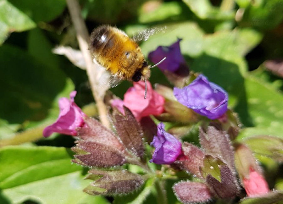 Sustainability Sunday: Time to reflect on the changing world