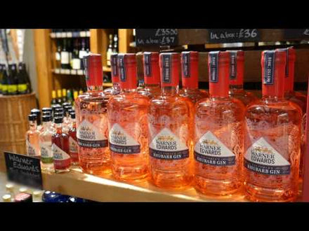 Ever wondered how we make our Rhubarb Gin?