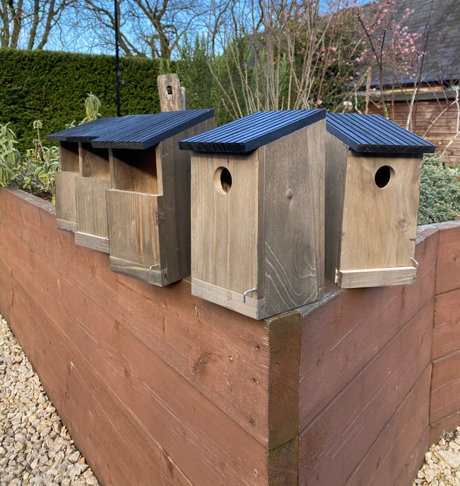 Sustainability Sunday: National Nest Box week