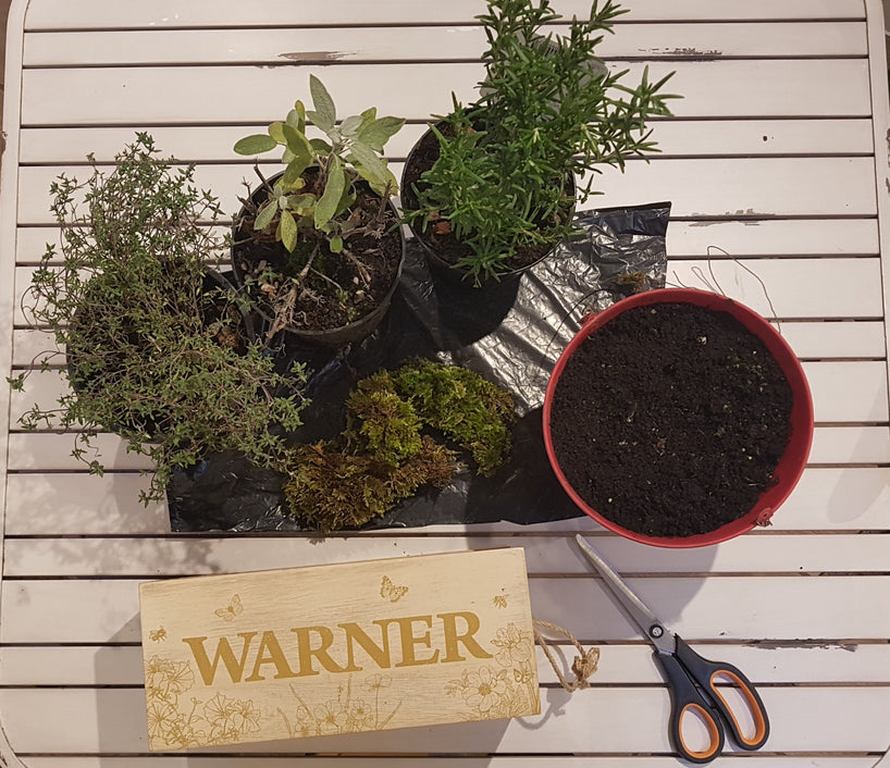 Upcycling your Gift of Nature Box into a planter