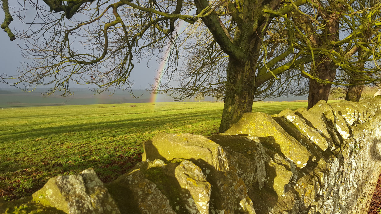 #SustainabilitySunday - Reducing paper wastage