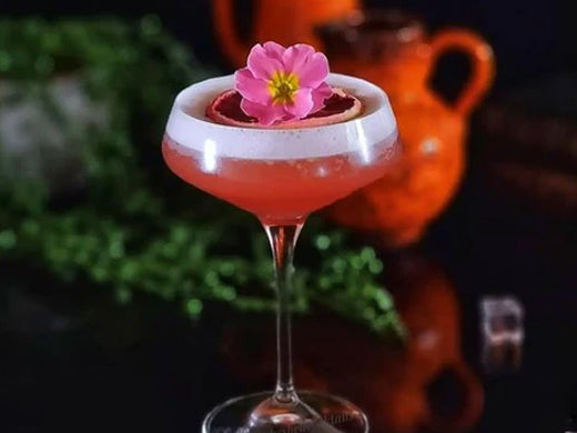 Rhubarb Ginger and Blood Orange Sour Cocktail