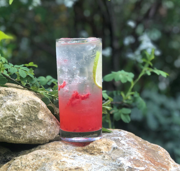 Rhubarb Rickey