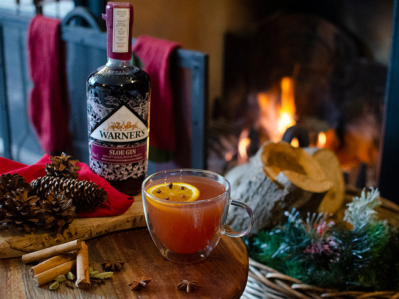 Sloe Gin Hot Toddy