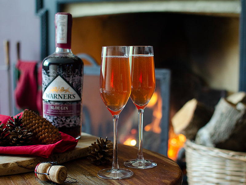 How to Make the Perfect Warner's Harrington Sloesecco Gin Cocktail & Ingredients – Warner's Distille