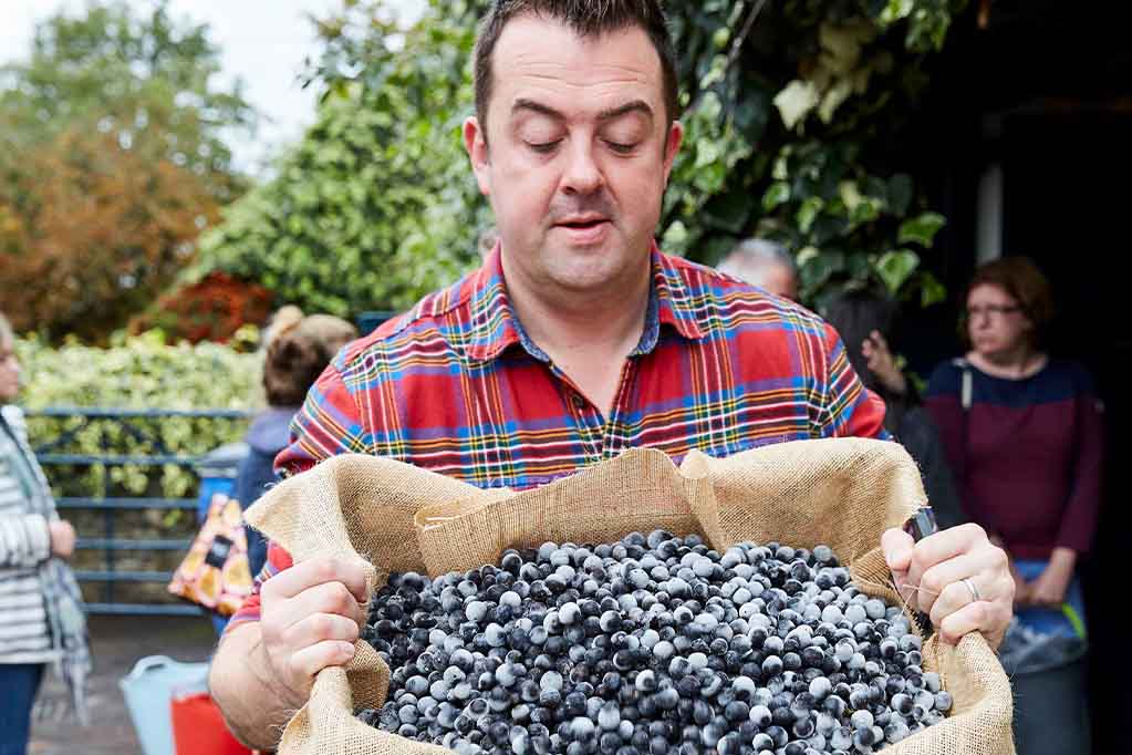 Sustainability Sunday - It's foraging time!