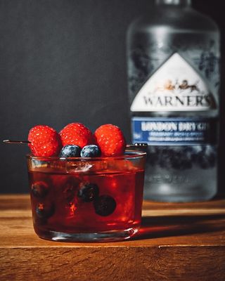 Warner’s Foraged Negroni