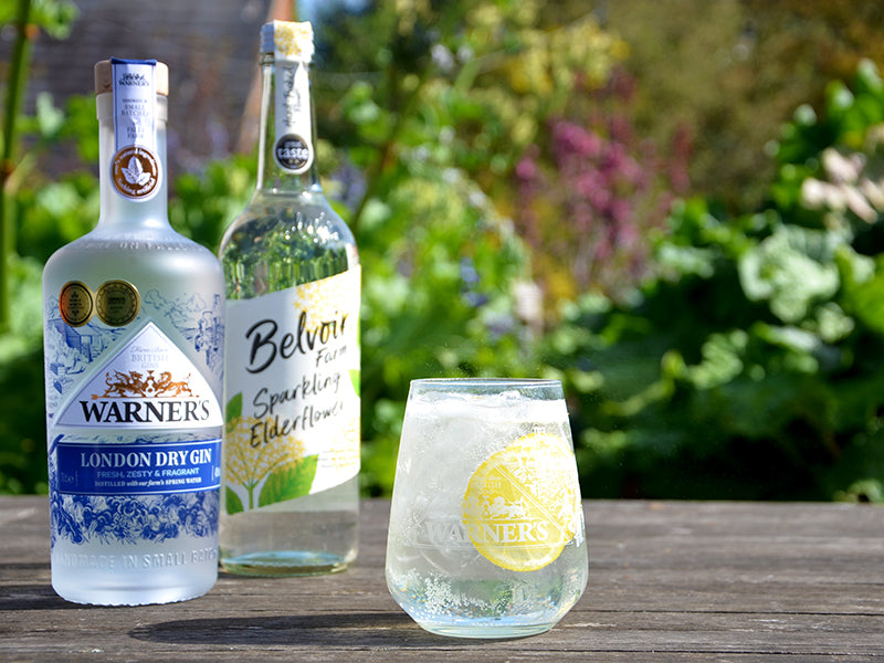 Elderflower Gin Spritz Warner's Distillery Ltd