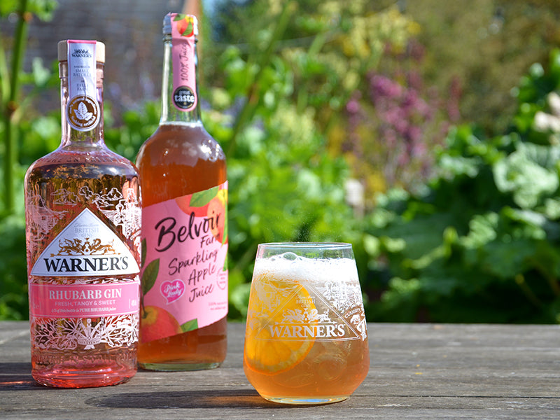 Rhubarb Gin Spritz Warner's Distillery Ltd