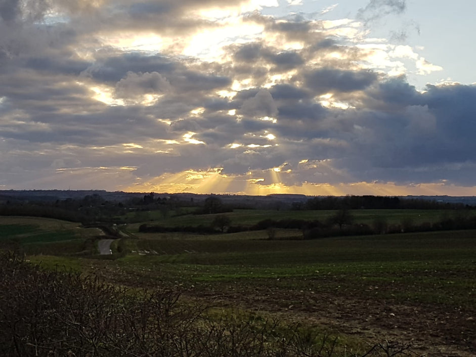 Sustainability Sunday: World Earth Day