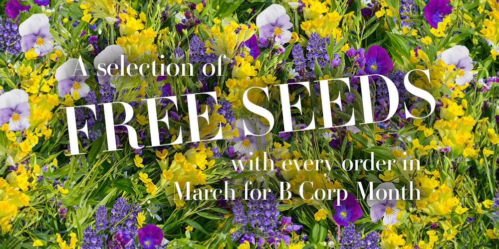 B corp Month: Free Seeds with Orders in March!