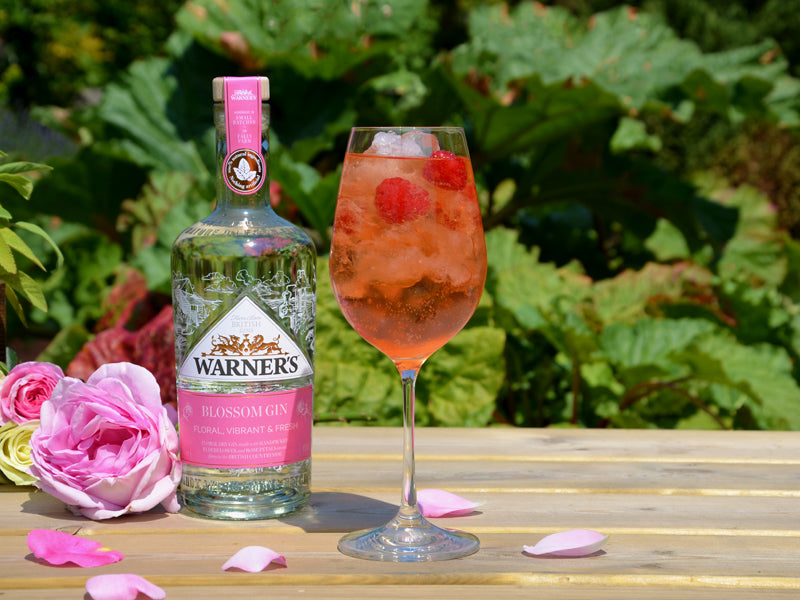 Warner's Distillery Ltd 