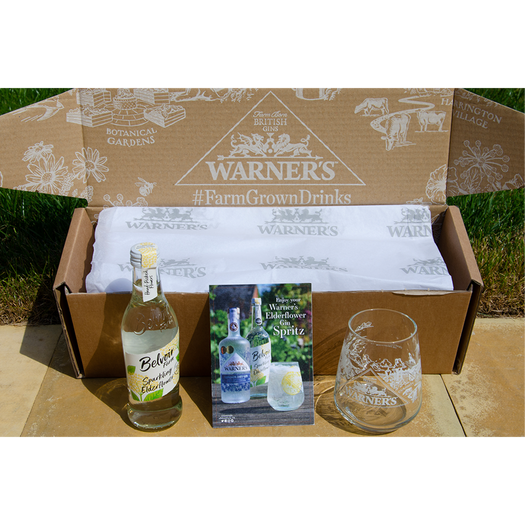 Elderflower Gin Spritz Kit