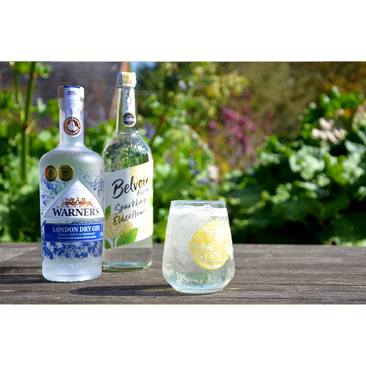 Elderflower Gin Spritz Kit