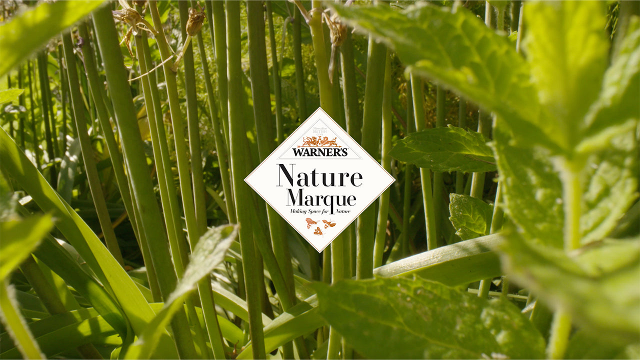 Warner's Distillery Ltd 