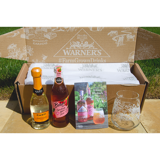 Rhubarb Gin Spritz Kit