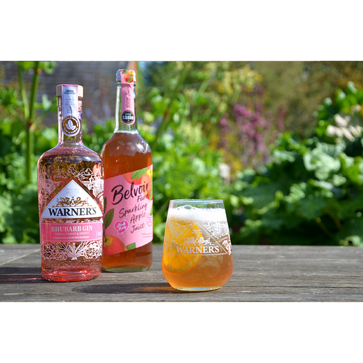 Rhubarb Gin Spritz Kit
