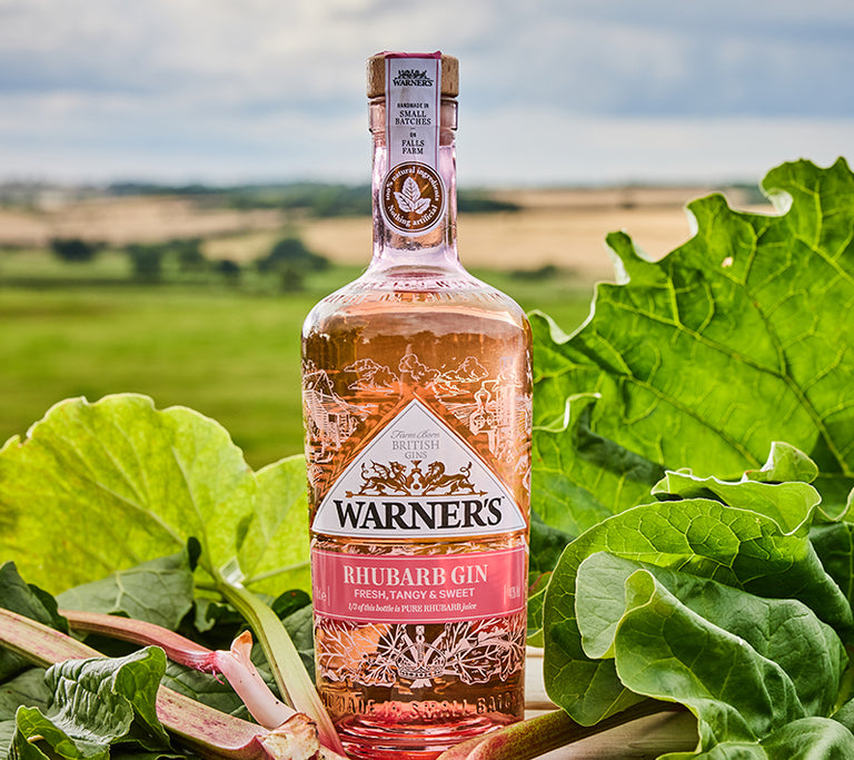 Rhubarb Gin