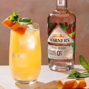 Warner's Distillery Ltd 