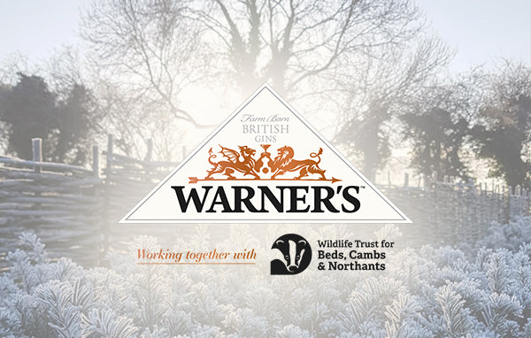 Warner's Distillery Ltd 