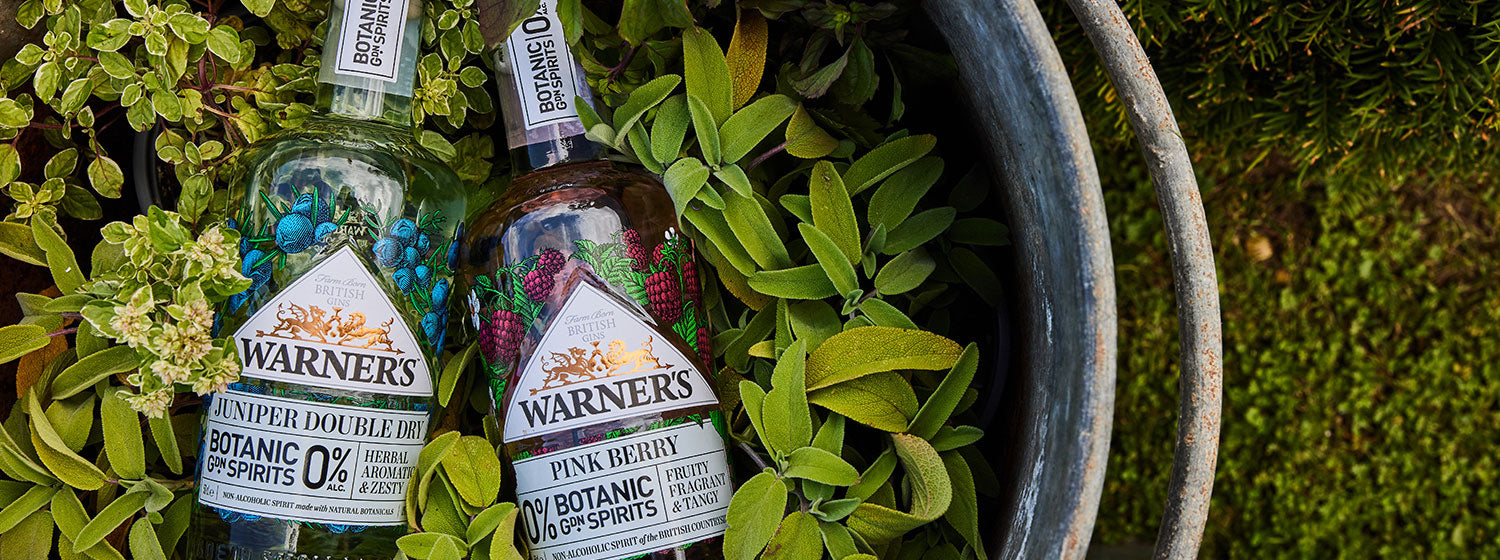 Warner's Distillery Ltd 