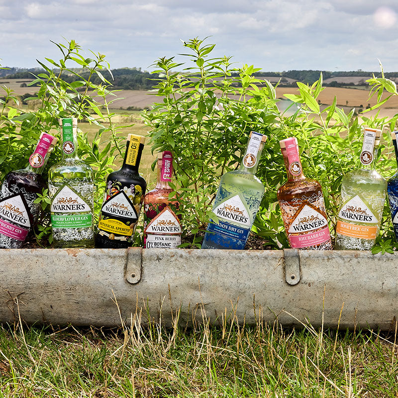 Warner's Distillery Ltd 