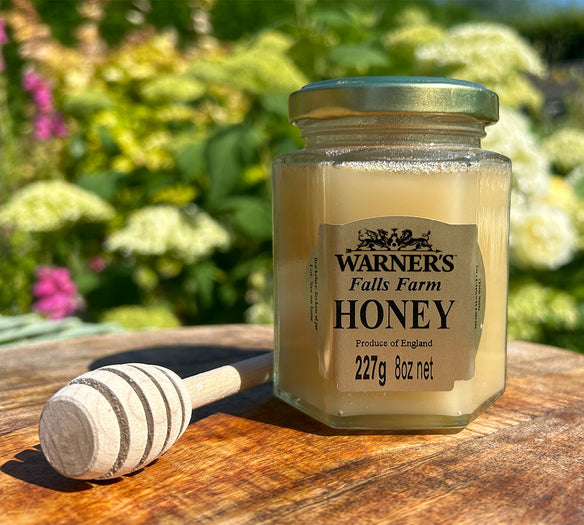 Warner's Honey (227g)