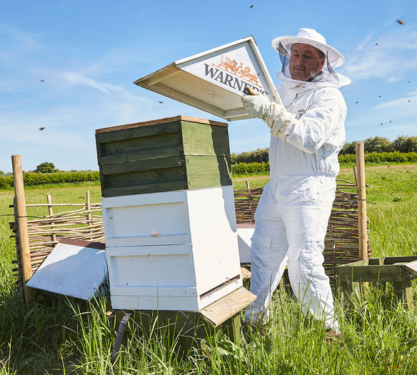 Warner's Honey (227g)