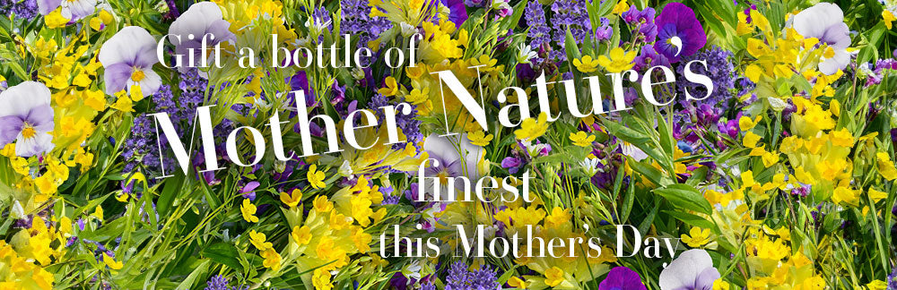 Warner's Distillery Ltd 