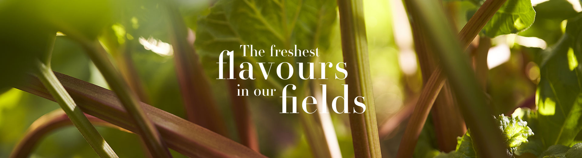 Warner's Distillery Ltd 