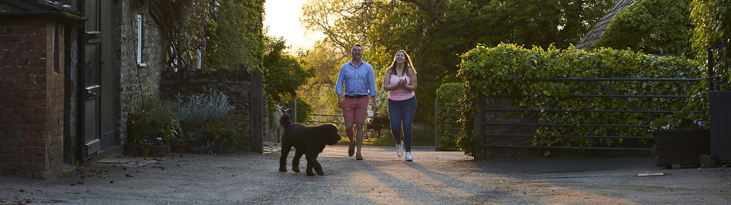 Warner's Distillery Ltd 