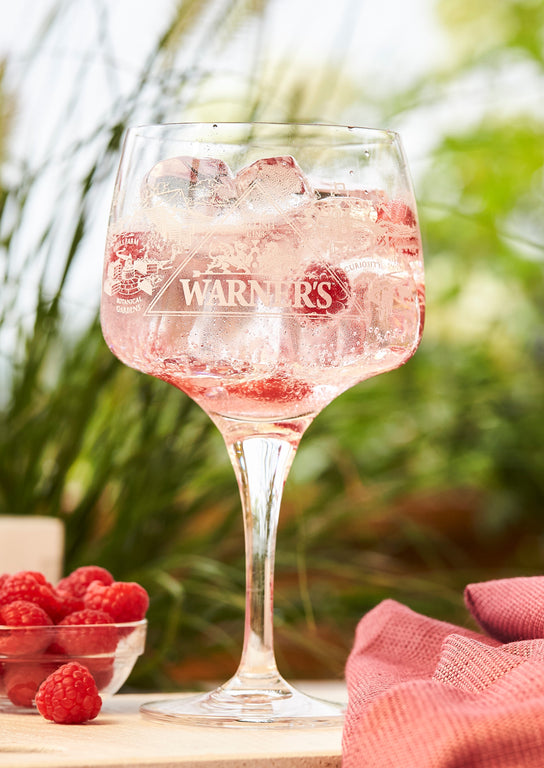 Warner's Branded Copa Glass