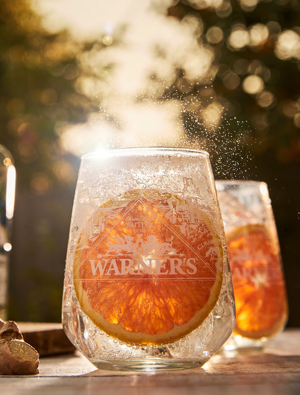 Warner's Gin Glass Tumbler