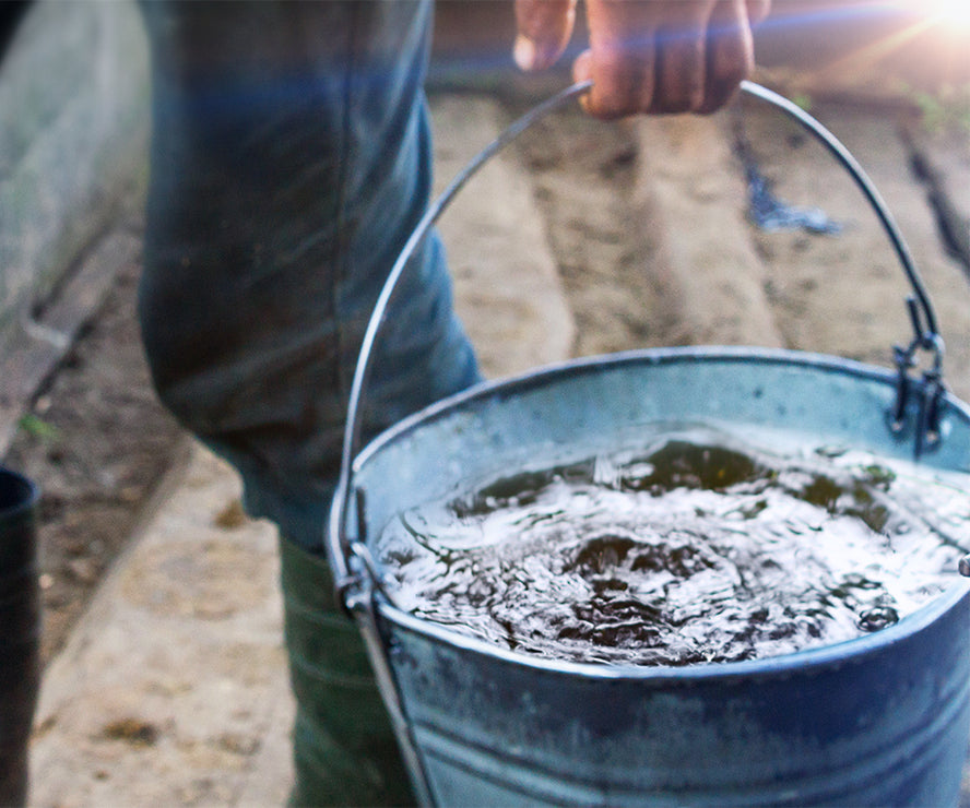 Warner's Distillery Ltd 